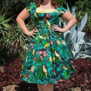 Laura Byrnes Alfreda dress in Parrot print